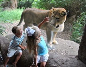 Alexandria intelligence overview